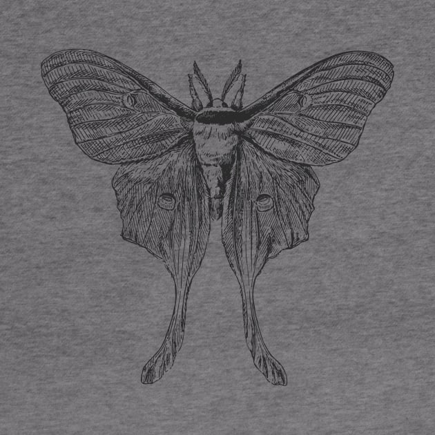 Goodnight Moth by Zia's Tees